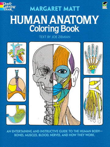 Human Anatomy Coloring Book